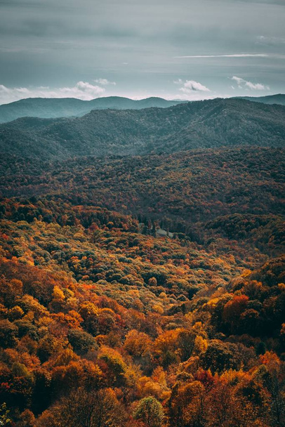 A vertical shot of a colorful autumn forest in the middle of a mountainous scenery - Foto, immagini