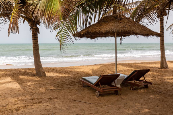 Beach in the Gambia with thatch umbrellas palms and beach chairs with the sea on the background - Фото, зображення