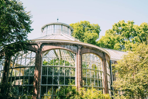 Low angle shot of a dome building with window walls surrounded by green trees - Foto, Bild