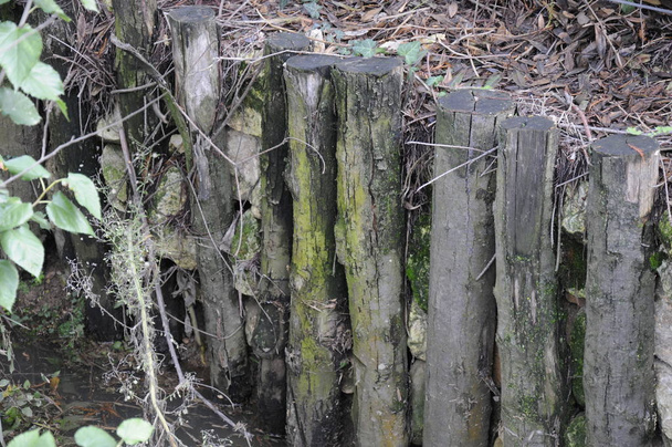 Palizzata in pali di vecchio legno lungo il sentiero in un parco. - Foto, imagen