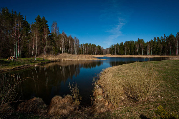 beautiful lake in the forest. - Zdjęcie, obraz