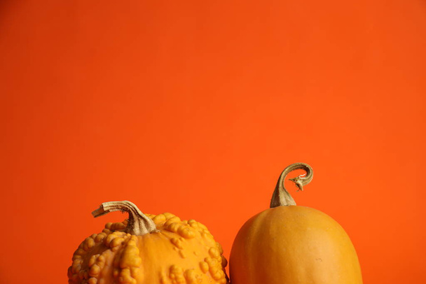 Kürbisse auf orangefarbenem Hintergrund. Herbsternte - Foto, Bild
