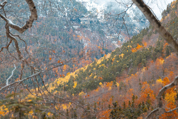 Ordesa National Valley in snowy autumn, located in Pyrenees Spain - 写真・画像