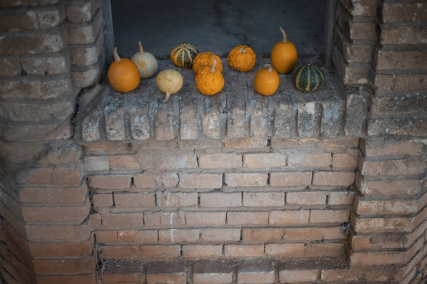 jesienne tło z dyniami idealny na Halloween - Zdjęcie, obraz