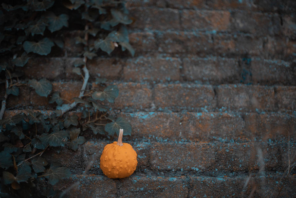 Fondo otoñal con calabazas ideales para Halloween
 - Foto, Imagen