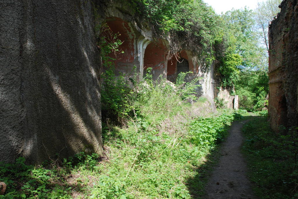 Fort a falu csótányok Dubensky kerület Rivne régió - Fotó, kép