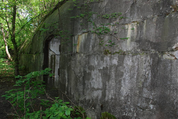 Форт у селі Коктаргани Дубенського району Рівненської області. - Фото, зображення