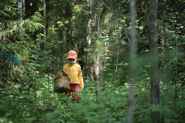 Children go to the forest for mushrooms - Φωτογραφία, εικόνα
