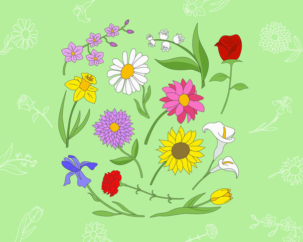 Flower Icons set - Vector color symbols and outline of rose, tulip, chamomile, carnation, iris, callai, orchid, narcissus, sunflower, chrysanthemum and astra for the site or interface - Vektor, Bild