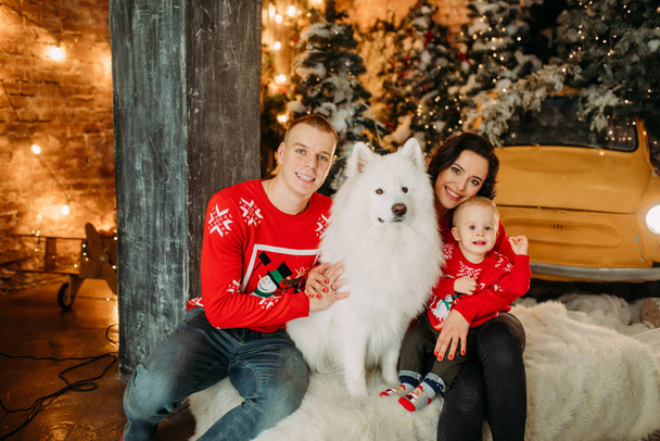 家族は犬の隣に座っており、クリスマスツリーを背景に楽しい時間を過ごしています - 写真・画像