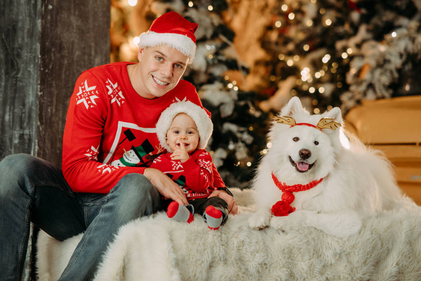 Padre e hijo en los sombreros de Santa Claus se sientan al lado del perro contra el fondo de un árbol de Navidad
 - Foto, Imagen