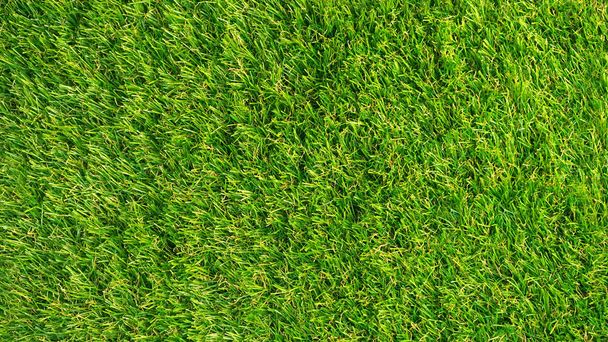 Искусственная трава. Синтетическая текстура, вид сверху
. - Фото, изображение