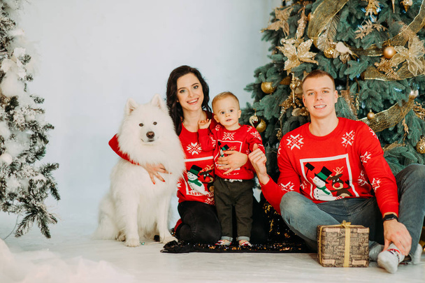 家族はクリスマスツリーを背景に犬の横にポーズ - 写真・画像