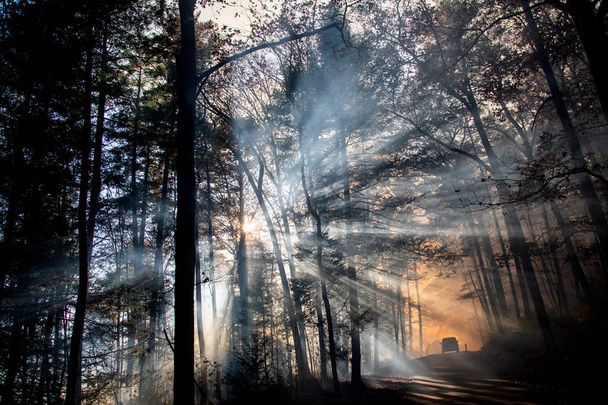 Дым после лесного пожара
 - Фото, изображение