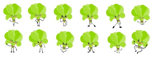 Spinach character. Cute cartoon. Vegetables and greens. Beneficial features. Sorrel leaves.. - Vector, Image
