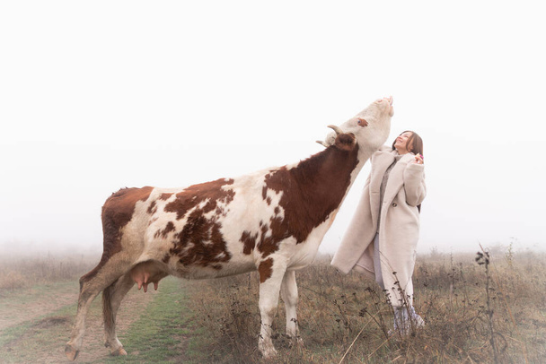 Brunette girl in white coat stands among the meadow in fog, red and white cow reaching for her - Photo, Image