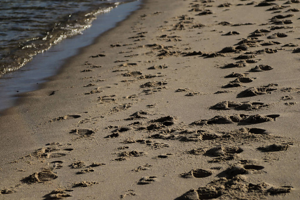 Footprints on sand of a solitary beach - Photo, image