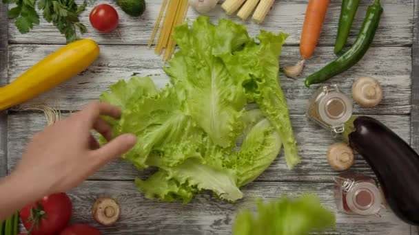 Erntehelfer nehmen Salat Stück für Stück vom Tisch - Filmmaterial, Video