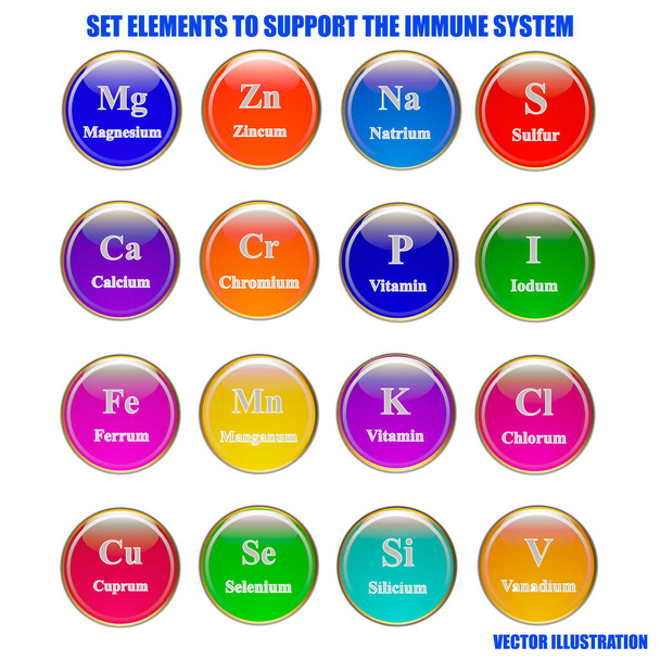 Définir les éléments et les vitamines pour soutenir le système immunitaire
. - Vecteur, image