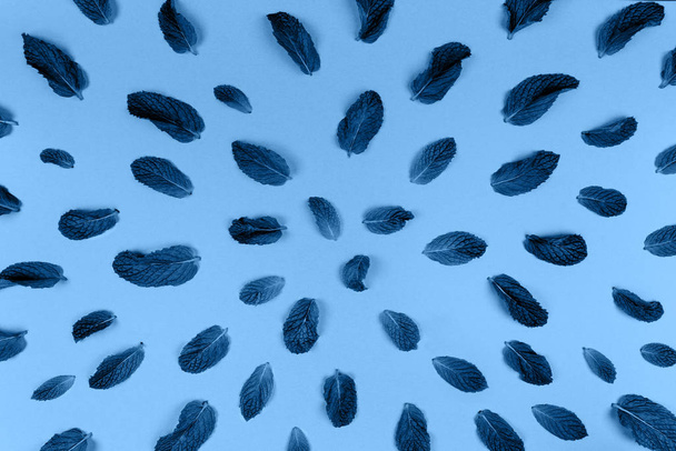 Візерунок з листя монетного двору на модному суцільному класичному синьому фоні, тонований
 - Фото, зображення