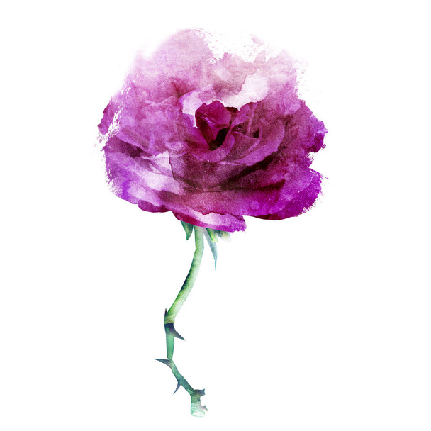 Watercolor flower isolated on white. Silhouette  - Foto, afbeelding