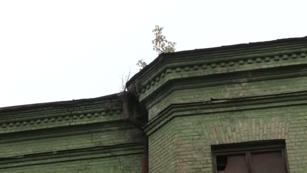 dach budynku z drzewa - Materiał filmowy, wideo