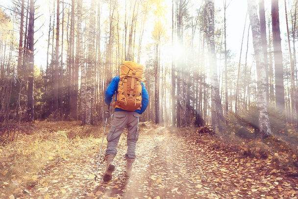 őszi túra hátizsákkal, napsugarak, őszi táj, egy ember az erdőben vakító fény naplemente - Fotó, kép
