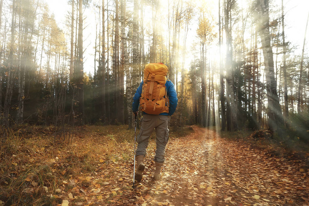 férfi hátizsákkal kilátás hátulról, túrázás az erdőben, őszi táj, a hátizsákos turista - Fotó, kép