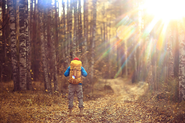 autumn hike with a backpack, sun rays, autumn landscape, a man in the forest glare of light sunset - Foto, Imagem