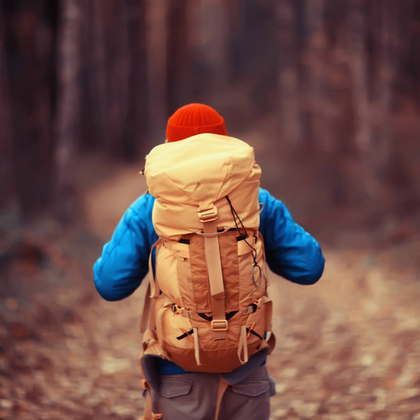 человек с рюкзаком вид сзади, походы в лес, осенний пейзаж, задняя часть туриста с рюкзаком
 - Фото, изображение