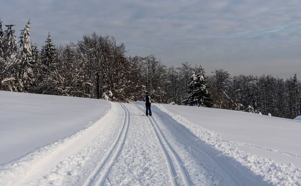 хорошо подготовленная лыжная трасса с лыжником на зимних Бескидах в Чешской Республике
 - Фото, изображение