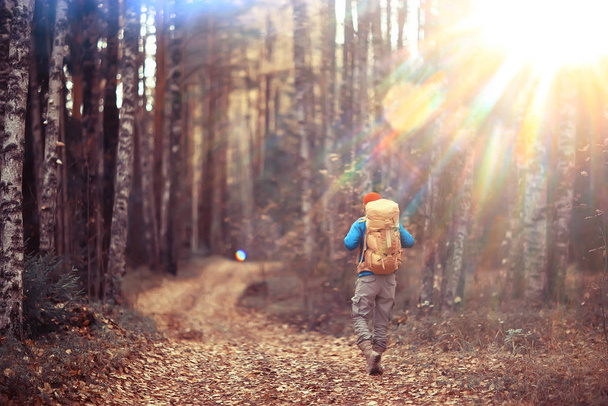 Mann mit Rucksack Blick von hinten, Wandern im Wald, Herbstlandschaft, Touristenrücken mit Rucksack - Foto, Bild