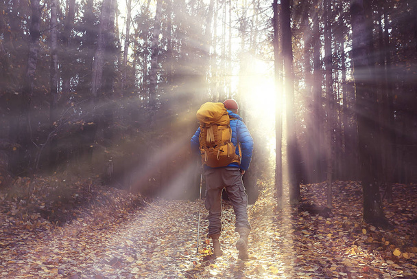 autumn hike with a backpack, sun rays, autumn landscape, a man in the forest glare of light sunset - Фото, зображення