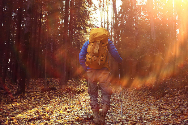 autumn hike with a backpack, sun rays, autumn landscape, a man in the forest glare of light sunset - Foto, imagen