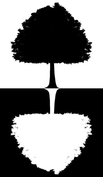 Black and white silhouette of a tree isolated on white-black background - Zdjęcie, obraz