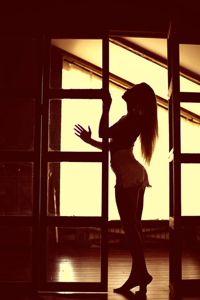 sexy model in a loft home interior, back light silhouette rays of the sun evening - Foto, Imagen