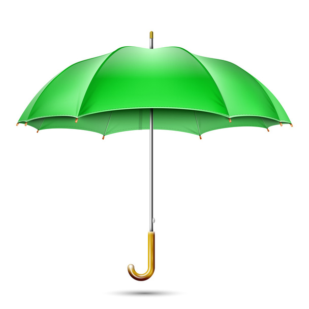 Реалистичный зелёный зонтик. Векторная миграция
 - Вектор,изображение