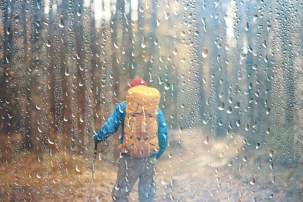 rainy autumn forest, landscape, a man on a hike in the October wet forest, bad cold weather - Photo, Image