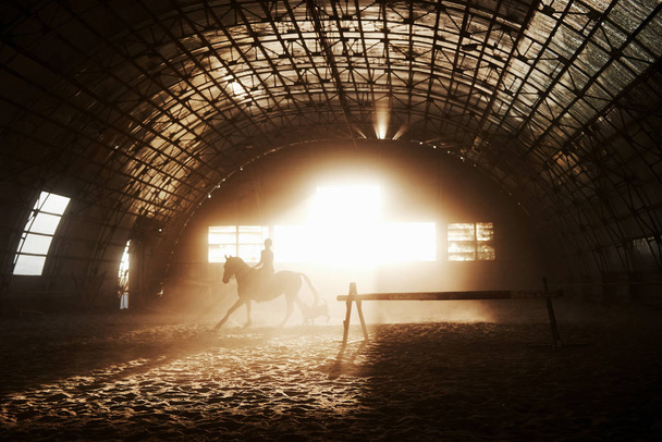 Imagem majestosa de silhueta de cavalo com cavaleiro no fundo do pôr-do-sol. A menina jockey na parte de trás de um garanhão monta em um hangar em uma fazenda e pula sobre a barra transversal. O conceito de equitação
. - Foto, Imagem