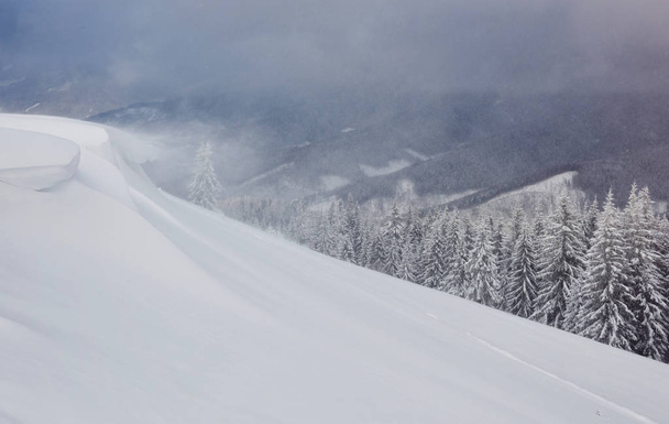Beautiful winter landscape with snow covered trees and snow cornice. - Valokuva, kuva
