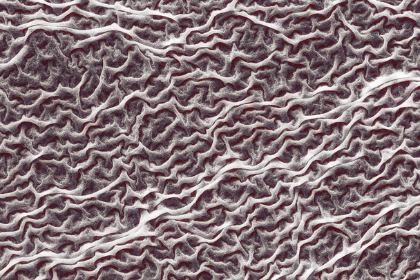 Macro, texture of mold on a liquid surface - Photo, Image