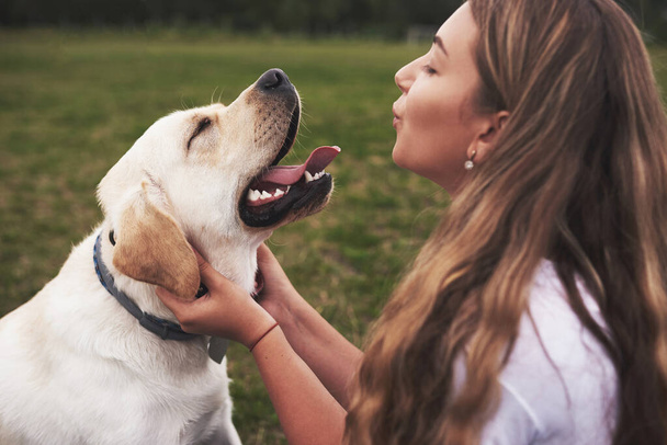 Giovane donna attraente con cane all'aperto. Griglia su un'erba verde con labrador retriever
. - Foto, immagini