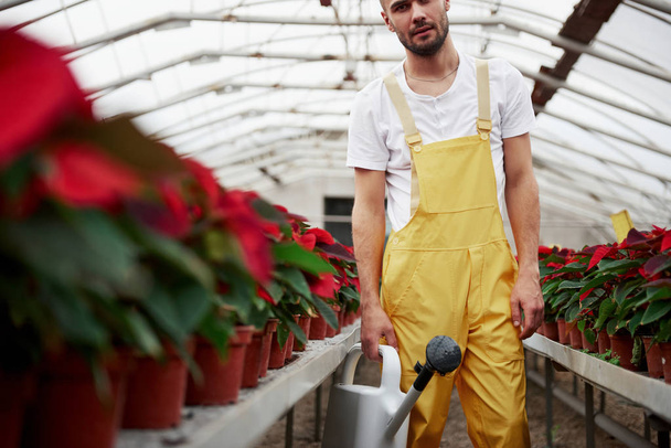 Love section of photo with beautiful young guy in the hothouse taking care of flowers. - Foto, imagen