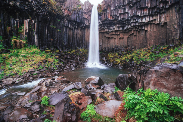Great view of Svartifoss waterfall. Dramatic and picturesque scene. Popular tourist attraction. Iceland, Europe - Foto, imagen