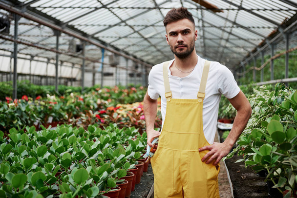 Photo of young attractive garderen standing between the garden beds with vases and other plants. - Fotoğraf, Görsel