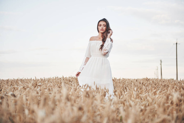 Portrait of a beautiful girl in a white dress in the field of wheat. - Foto, afbeelding