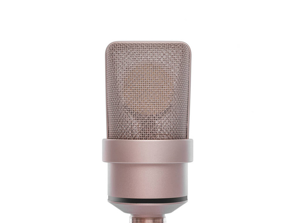 Professional condenser microphoneisolated on white. - Zdjęcie, obraz