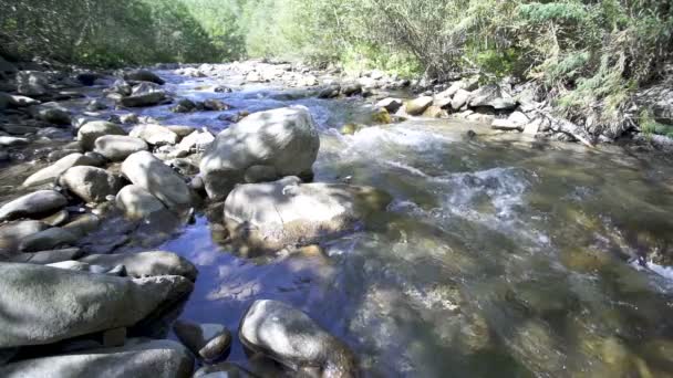 Bergrivier, stroom, water en stenen. Schoonheid van de natuur, slow motion Landschap. - Video