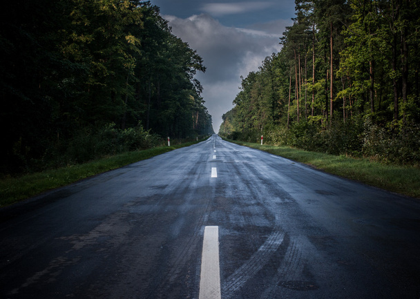 Дорога в лісі
 - Фото, зображення