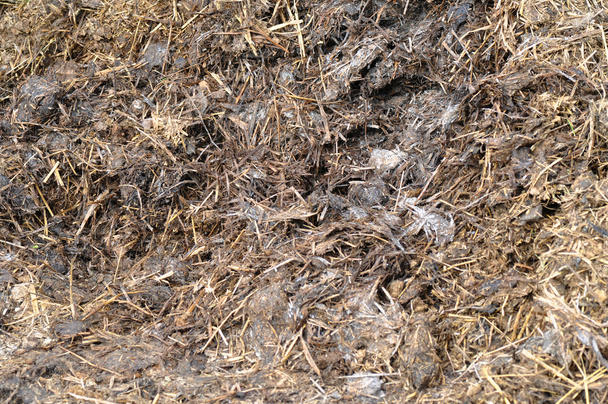 manure mixed with hay - Photo, Image